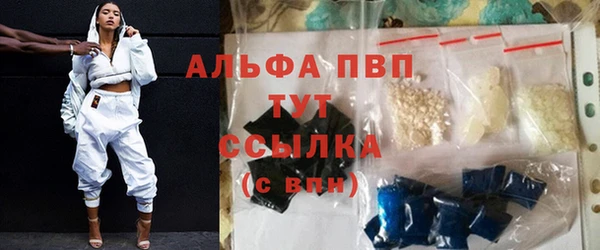 индика Баксан