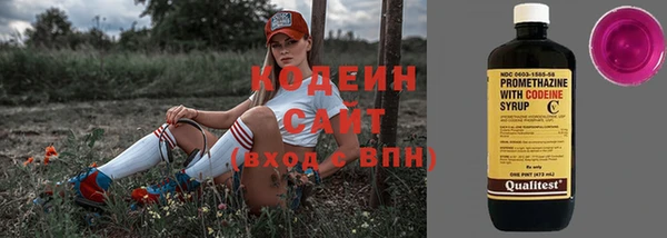 индика Баксан