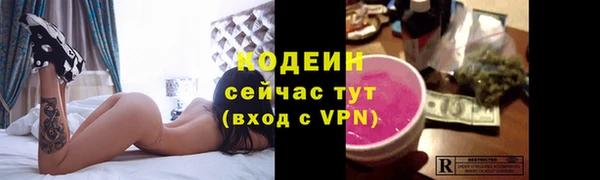 индика Баксан