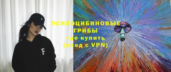 СК Саяногорск