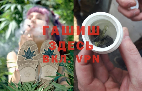 индика Баксан