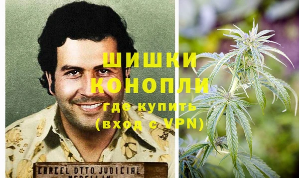 PSILOCYBIN Балахна