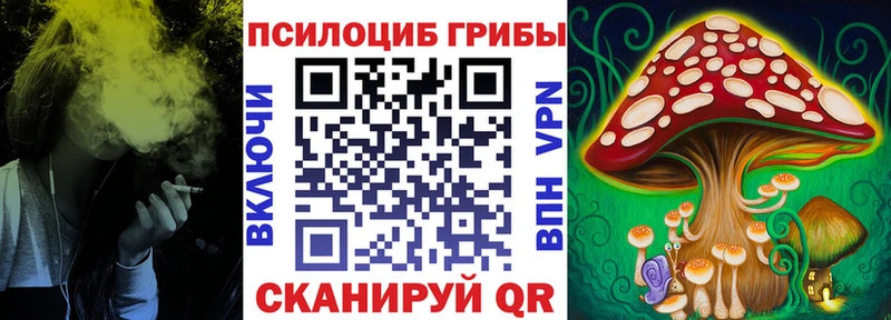 Галлюциногенные грибы ЛСД  Рудня 